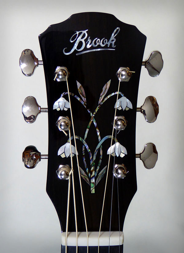 Snowdrop Inlay Brook Torridge News Archive 2016-2015