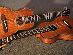 Two Koa Babies