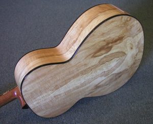 Spalted Sycamore Taw