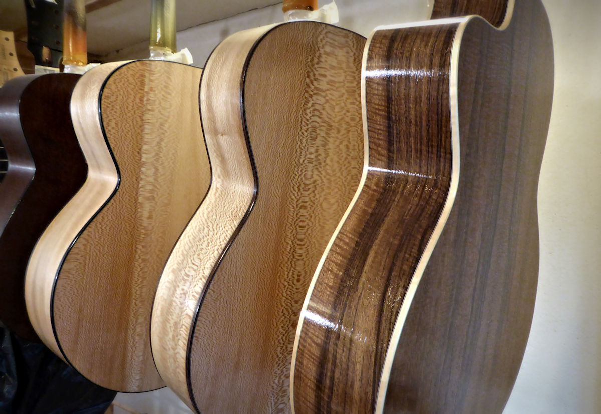 Local Lacewood