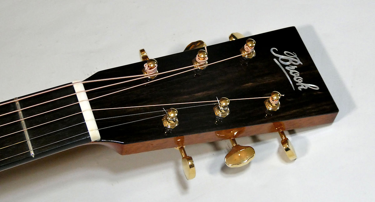 Dave Brook Taw Headstock