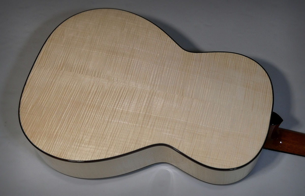 Maple Brook Lyn for Coda 2